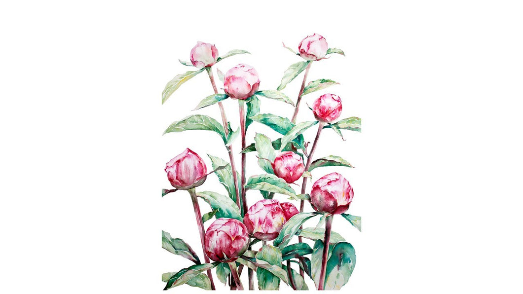 Peony print out